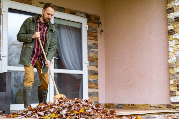 Best Junk Removal Near Me  in Dansville, NY